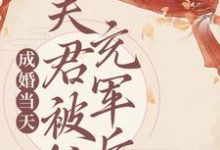 完整版的成婚当天，夫君被抓充军后小说在哪里可以免费读到？-薯片文学