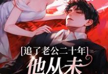 追了老公二十年，他从未认真对待我这本小说完结了吗？免费查看最新章节-薯片文学