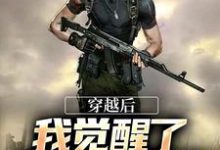 穿越后，我觉醒了敌意值系统这本小说怎么样？免费在线阅读试试-薯片文学