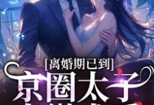 已完结小说《离婚期已到!京圈太子卑微求爱》章节免费阅读-薯片文学