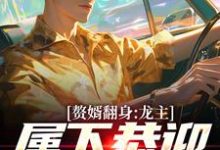 《赘婿翻身：龙主，属下恭迎您归位》小说大结局免费试读 叶尘林含雪小说-薯片文学