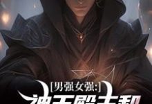 男强女强:神王殿主和女特工闪婚了小说阅读,男强女强:神王殿主和女特工闪婚了完结版-薯片文学