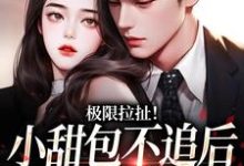 小说《极限拉扯！小甜包不追后男神他慌了》章节免费阅读-薯片文学