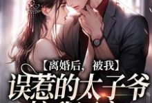 离婚后，被我误惹的太子爷接我回家小说阅读，离婚后，被我误惹的太子爷接我回家完结版-薯片文学