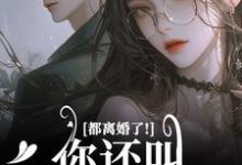 都离婚了！你还叫我夫人干嘛小说有没有完整的免费版本在线阅读？-薯片文学