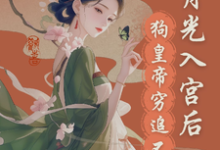 小说《宫斗？这皇帝根本不让我玩》章节免费阅读-薯片文学