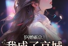 闪婚霸总，我成了京城千亿宠儿小说，闪婚霸总，我成了京城千亿宠儿沈瓷霍靳尧-薯片文学