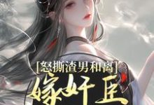 怒撕渣男和离，嫁奸臣高攀不起沈蕴之宋窈窈，怒撕渣男和离，嫁奸臣高攀不起在线无弹窗阅读-薯片文学