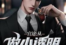 完结版《官途:从做小透明开始》在线免费阅读-薯片文学