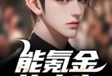 能氪金的人生,谁还肝啊小说完结版章节免费阅读-薯片文学