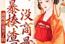 免费在线阅读清纯侍妾开了窍,暴揍渣男没商量小说的正规网站有哪些?-薯片文学