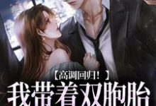 小说《高调回归！我带着双胞胎虐他来了》免费阅读-薯片文学