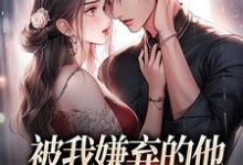 求被我嫌弃的他，竟成了我的港湾小说免费资源-薯片文学