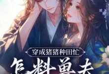 主角穆九溪楚玄小说无删减版在线阅读，穿成猪猪种田忙，怎料兽夫太黏猪免费看-薯片文学