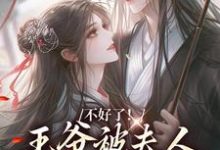 不好了!王爷被夫人驯成恋爱脑了叶流西穆景川,不好了!王爷被夫人驯成恋爱脑了小说免费阅读-薯片文学