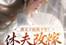 无删减版《渣父子赶我下堂?休夫改嫁你跪啥》全章节阅读-薯片文学