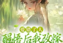 无删减版《爱错了人,醒悟后我改嫁权王你哭啥》全章节阅读-薯片文学