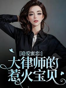 追爱蜜恋：大律师的惹火宝贝小说在线免费阅读，追爱蜜恋：大律师的惹火宝贝无删减版