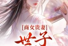 小说《商女贵妻:世子,来算账》在线阅读-薯片文学