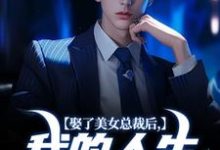 已完结小说《娶了美女总裁后，我的人生开挂了》免费阅读-薯片文学