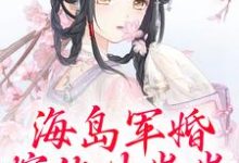 无删减版《海岛军婚:嫁他生崽崽》章节目录在线阅读-薯片文学