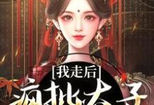 我走后，疯批太子彻底癫了沈南枝萧迟小说在线章节目录阅读最新章节-薯片文学