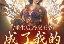 《重生后，冷戾王爷成了我的小奶狗》全集免费在线阅读（云想司空琰）-薯片文学
