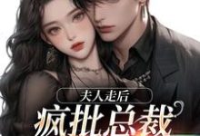 顾焕之苏妍小说叫什么（夫人走后，疯批总裁寻遍全世界免费阅读）-薯片文学