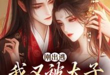 虞晚柔萧衡小说在哪里可以看-薯片文学