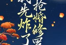 穿越后,我先炸了抢婚修罗场小说,穿越后,我先炸了抢婚修罗场叶楚月夜墨寒无弹窗在线阅读-薯片文学