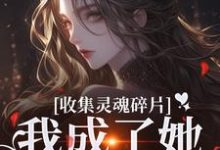 无删减版《收集灵魂碎片，我成了她的心尖宠》免费阅读-薯片文学