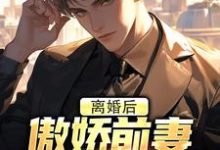 小说《离婚后,傲娇前妻被疯狂打脸》免费阅读-薯片文学