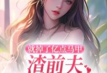 就掉了亿点马甲，渣前夫哭着求复婚楚骁寒叶幻竹，就掉了亿点马甲，渣前夫哭着求复婚小说免费阅读-薯片文学