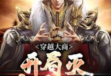 穿越大商，开局灭十万叛军免费阅读，穿越大商，开局灭十万叛军殷寿-薯片文学