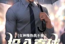 主人公丁歌王诗雪小说女神慢热我不要，投入直球女怀抱在线阅读-薯片文学