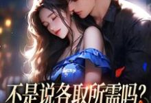 不是说各取所需吗?你咋还要我的爱小说,不是说各取所需吗?你咋还要我的爱在线阅读-薯片文学