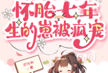 小说《皇帝绝嗣?怀胎七年生的崽被疯宠》免费阅读-薯片文学