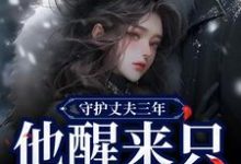 小说《守护丈夫三年，他醒来只要白月光》免费阅读-薯片文学