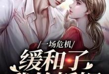 已完结小说《一场危机,缓和了我的婚姻》免费阅读-薯片文学