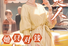 《九零，夫人她只对钱有兴趣》全集免费在线阅读（苏珃何景行）-薯片文学