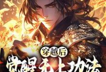 穿越后，觉醒无上功法的我要复仇了宋终小说大结局免费试读-薯片文学