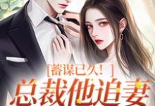 已完结小说《蓄谋已久！总裁他追妻套路为零》免费阅读-薯片文学