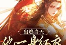 无删减版《出逃当天,他一身红衣抢掳我》全章节阅读-薯片文学