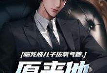 主角林子阳陆晓雪小说临死被儿子拔氧气管,原来他非亲生免费阅读-薯片文学