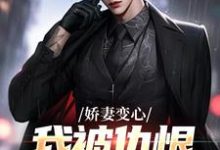 娇妻变心，我被仇恨占据了全身小说，娇妻变心，我被仇恨占据了全身在线阅读-薯片文学