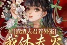 已完结小说《渣渣夫君养外室，我休夫灭妾另高嫁》最新章节-薯片文学