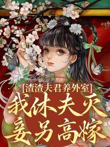 已完结小说《渣渣夫君养外室，我休夫灭妾另高嫁》最新章节