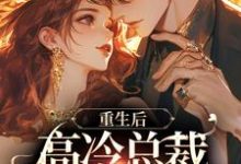 许晚宁季牧野小说叫什么（重生后，高冷总裁变我小舔狗免费阅读）-薯片文学