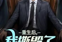 《重生后，我撕毁了离婚协议书》小说大结局免费试读 陆泽白糯小说-薯片文学