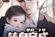 单身二十年,转身穿成八岁娃他爸小说,单身二十年,转身穿成八岁娃他爸艾辰无弹窗在线阅读-薯片文学
